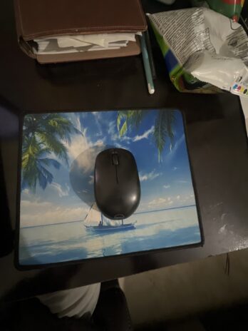 Mouse